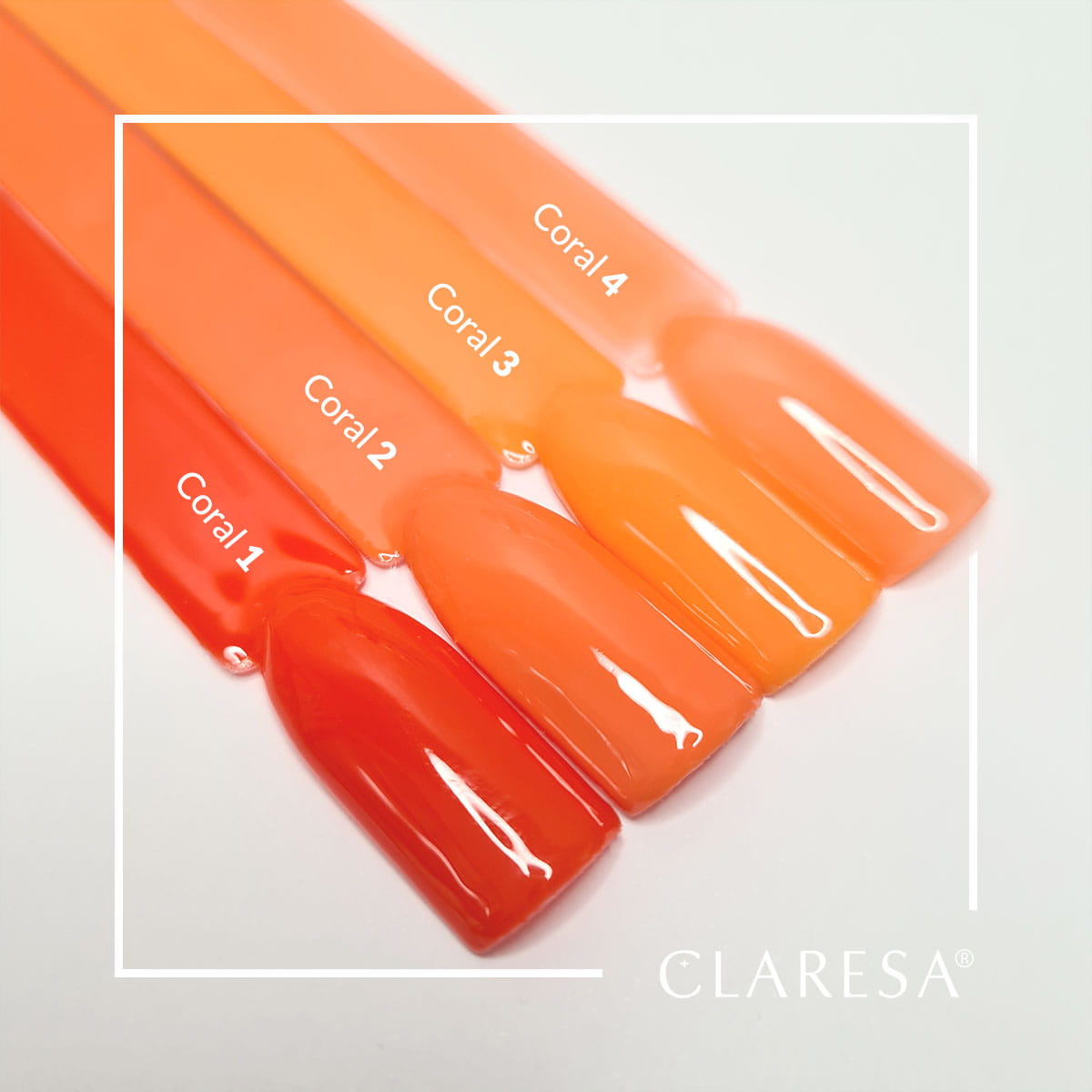 Claresa Coral