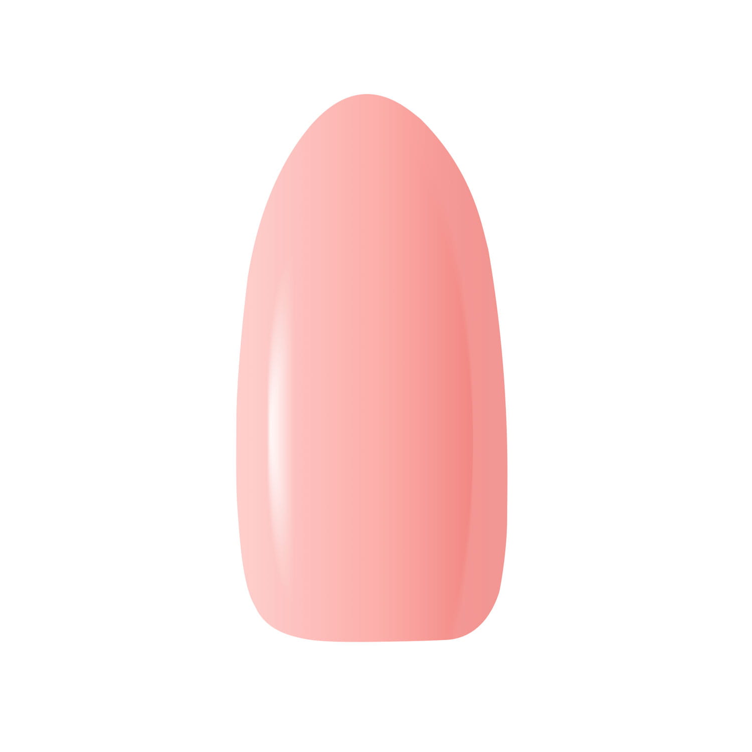 Claresa Brush easy 3